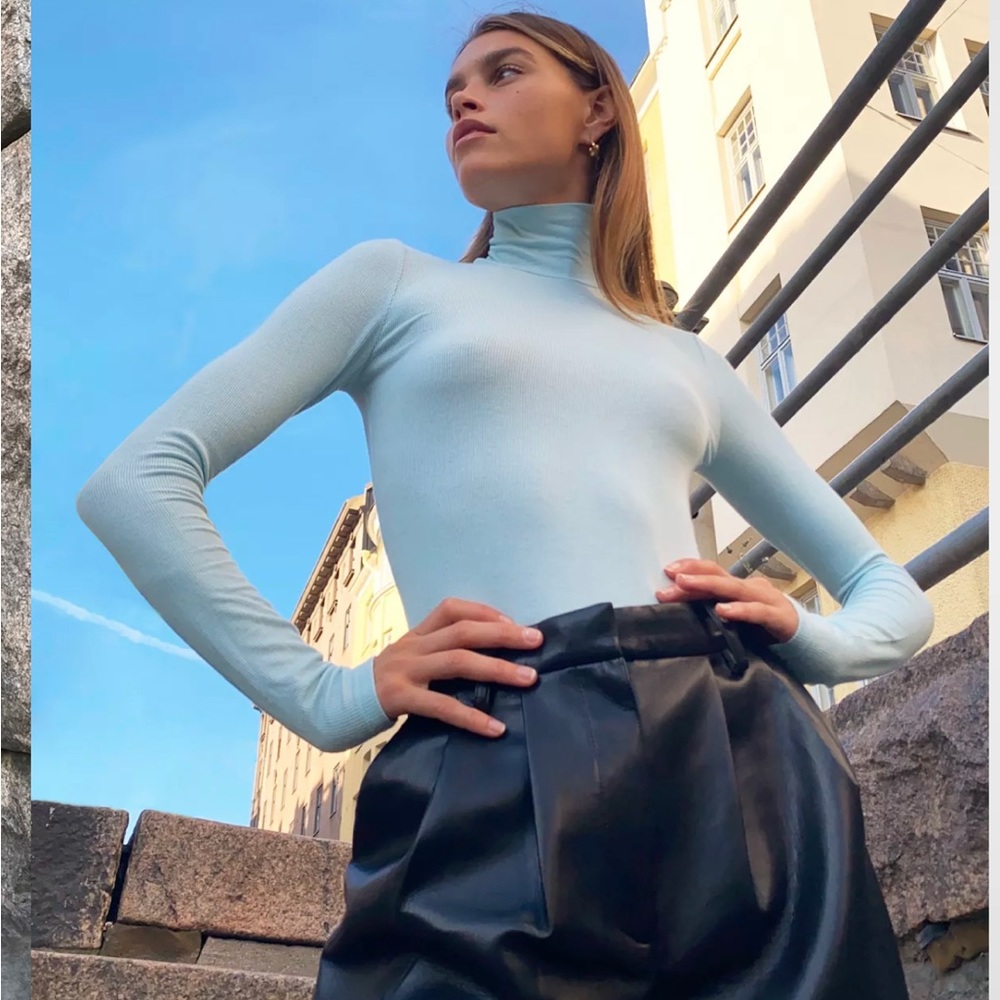 Aritzia Wilfred Only Turtleneck